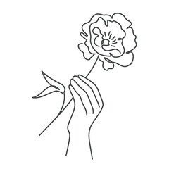Hand holding flower, poppy, peony.
