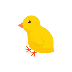 Chicken Yellow fluffy Poultry. Cute animal. Livestock, animal, Farming. Farm. Vector illustration isolated on white background.