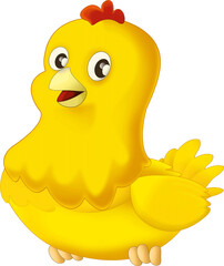 Cartoon happy bird chicken hen rooster isolated illustration for kids