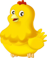 Cartoon happy bird chicken hen rooster isolated illustration for kids