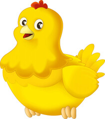 Cartoon happy bird chicken hen rooster isolated illustration for kids