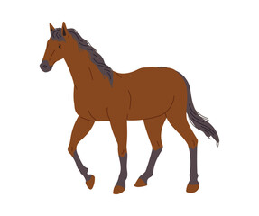 Obraz premium Beautiful horse standing, flat vector illustration isolated on white background.