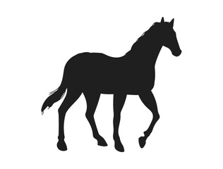 Fototapeta na wymiar Horse animal black silhouette, flat vector illustration isolated on white background.