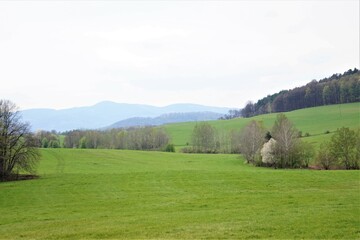 Panorama na czeskie góry