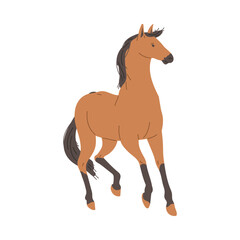 Brown horse animal full length, flat vector illustration isolated on white.