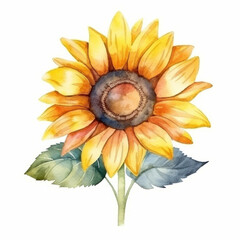 Fototapeta premium Watercolor sunflower isolated. Illustration AI Generative.