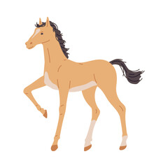 Cute baby horse or foal, flat vector illustration isolated on white background.