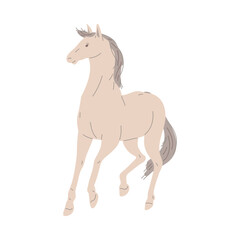 Obraz na płótnie Canvas Graceful horse with gray mane and tail flat style, vector illustration