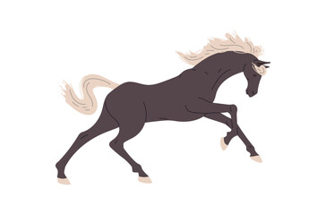 Running black horse flat style, vector illustration