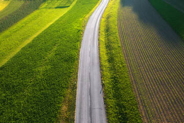 Aerial view of road in green meadows and field at sunset in summer. Top view from drone of rural road. Beautiful landscape with roadway, green grass, sunlight. Evening in Slovenia. Transportation