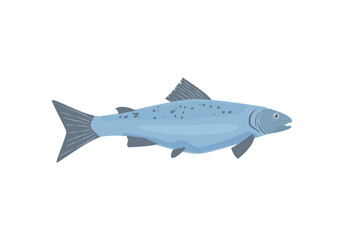 Trout fish icon or symbol flat vector illustration isolated on white background.