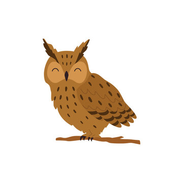 Eagle-owl kind of large owl birds with ear tufts, vector illustration isolated.