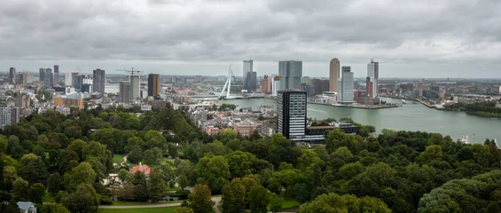 Fototapete Erasmusbrücke Panoramic view of the port of Rotterdam and the tall buildings that surround it, from the top of the Euromast tower