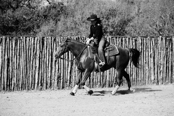 Western industry lifestyle with cowgirl on trotting horse in outdoor arena for training.