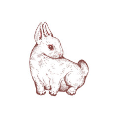 Cute standing fluffy rabbit sketch style, vector illustration