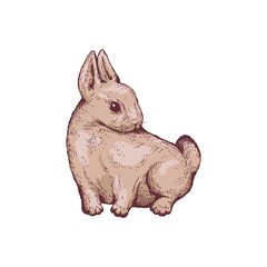 Fluffy rabbit vector drawing, sketch style illustration isolated on white background.