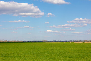 Spring landscape with flat and low land under blue sky and white cloud as background, Typical Dutch polder with green meadow and farm, Small villages in countryside of Drenthe province, Netherlands.