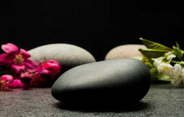 composition with beautiful stones and plants for product presentation podium background.zen stones and flowers with free area for product for podium background.