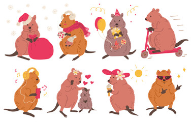 Set of cute and funny quokka animals, cartoon flat vector illustration isolated on white background.