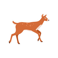 Young deer forest animal flat vector illustration isolated on white background.