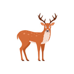 Forest deer or reindeer wild animal flat vector illustration isolated on white.
