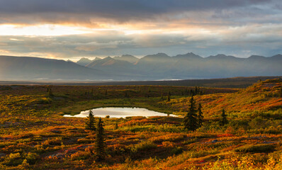 Autumn in polar tundra