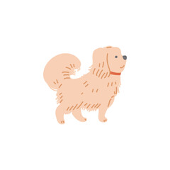 Obraz premium Cute small decorative shaggy lapdog flat cartoon vector illustration isolated.