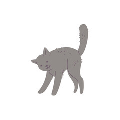 Playful adorable grey coat cat or kitten hand drawn vector illustration isolated.
