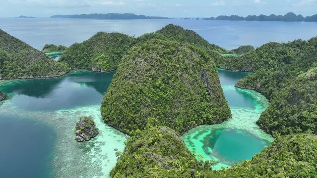 Healthy fringing coral reefs grow around the dramatic limestone islands that rise from Raja Ampat's seascape. This remote part of Indonesia is known for its incredibly high marine biodiversity.