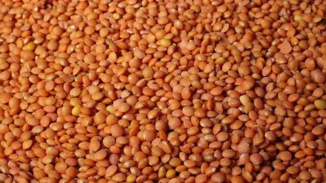 Slow motion of beautiful peeled, natural dried lentils rotating on a plate. Close-up of red lentils. Organic orange coloured seeds, healthy lifestyle, high protein product concept with copy space.