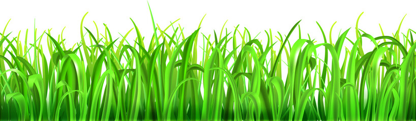 Green grass with seamless horizontal repetition