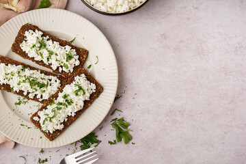 Plate with tasty cottage cheese and rye bread on light grunge background