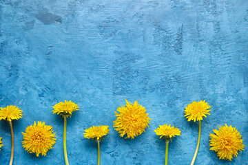 Bright dandelions on blue grunge background