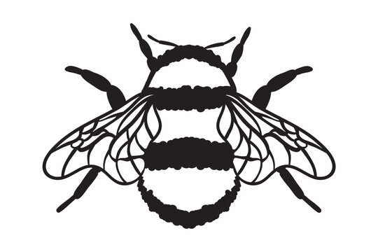 Bee SVG, Honeybee Svg, Queen Bee svg, Handwritten Bee Svg, Bumble Bee Svg, Honey Bee Svg, Queen Bee Svg, bee, insect, animal, flying, fly, cute, wings, wing, bumblebee, bumble, honeybee, bug, black