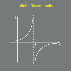 Types of discontinuity of a function. Infinite discontinuity. Limits and continuity. Vector illustration isolated on grey background.