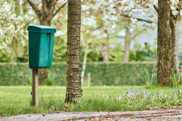 Green mailbox at the path to the house on green grass lawn background in spring