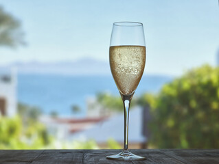 Champagne toast in tropical paradise