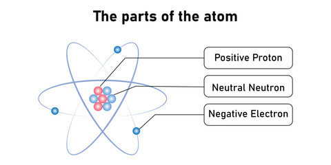 Rutherford's atomic model. Electron orbits, neutrons, nucleus, protons and electrons. Parts of atom. Vector illustration isolated on white background.