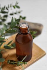 Bottle of eucalyptus essential oil and plant branches on white table