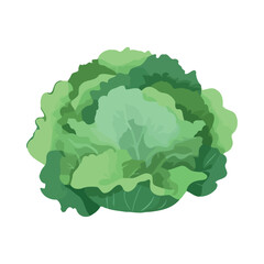 Fresh cabbage with organic leaf ingredients Generative AI