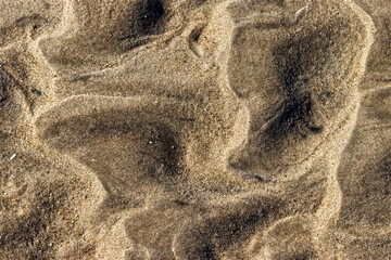Sand grains ont he beach captured in detail - Assateague, MD, USA
