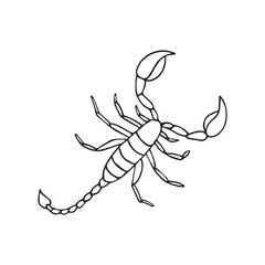 Vector hand drawn doodle sketch scorpio isolated on white background
