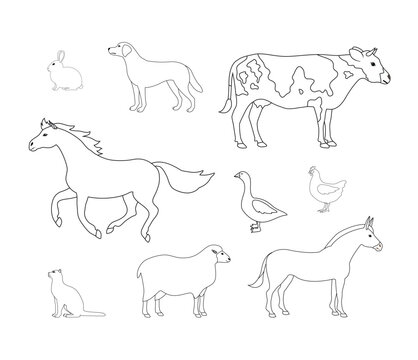 Vector set of flat hand drawn outline domestic animals isolated on white background