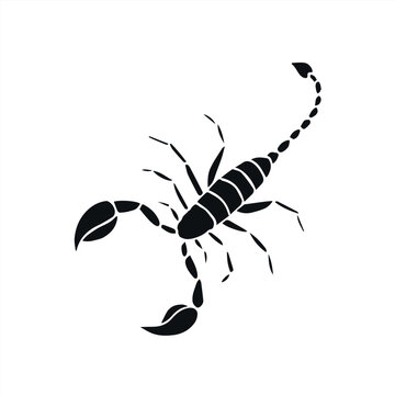 Vector hand drawn doodle sketch black scorpio isolated on white background