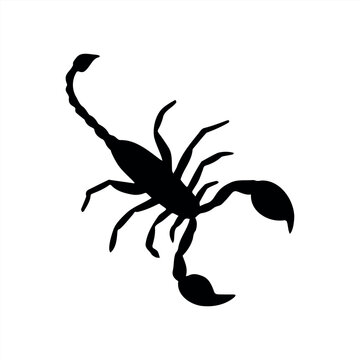 Vector hand drawn scorpio silhouette isolated on white background