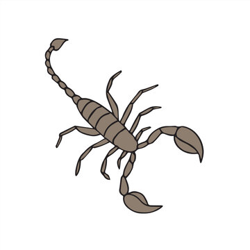 Vector hand drawn doodle sketch colored scorpio isolated on white background
