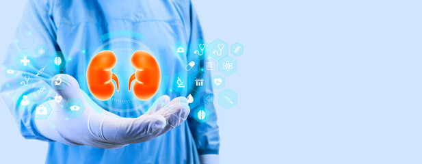 Nephrology, medical care for kidney problems. Kidneys, kidney pain, kidney cysts, kidney failure,...