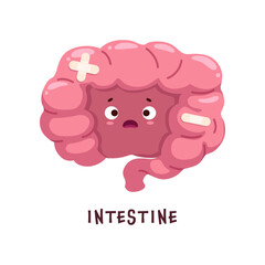 Intestine, sick body organ character injured or unhealthy, cartoon vector personage. Stomach gut health and human digestive system disease, cartoon intestine with sad face of pain with medical patch