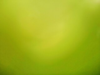 Lawn background on green background.