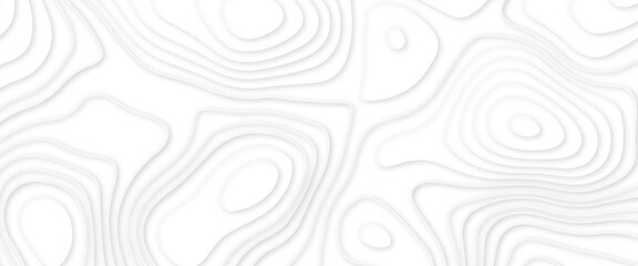white papercut wave background. 3D abstract papercut smooth origami shape. Topographic canyon map light relief texture, curved layers and shadow.